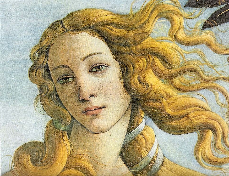 A crop of the face of Venus from Sandro Botticelli's painting, The Birth of Venus