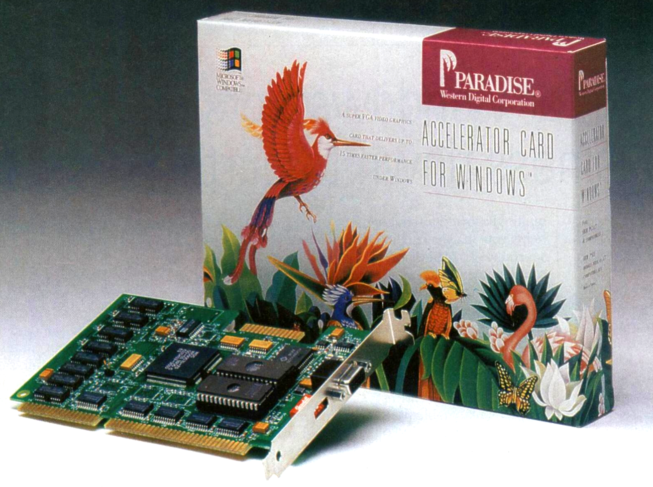 scan of a magazine print ad for the Paradise Accelerator Card for Windows, showing the colourful box artwork of painted topical birds and plants, as well as the card angled in front of the box for the photo